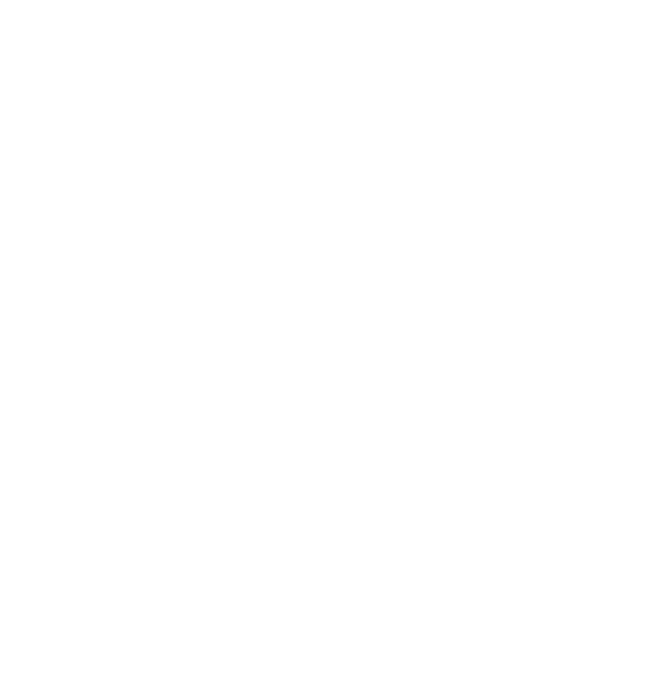 Rodaindustria Maracay C.A. Logo